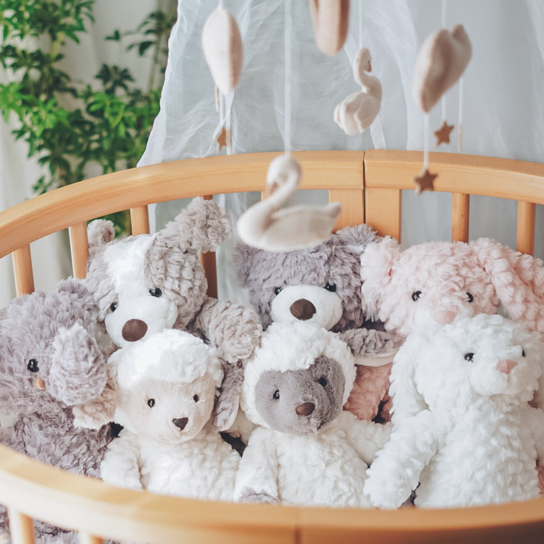 【数量限定】絵本ホワイトラビットセット 『 GIFT SET 』