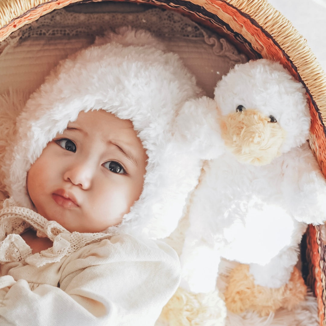 【即納】mokohuwa duck toy