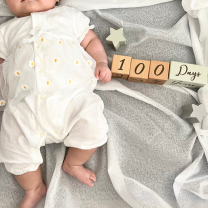 [数量限定]アニバーサリー積み木coccole story