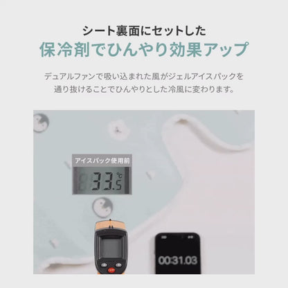 【再入荷】アイスハグデュアルファンクールシート2type